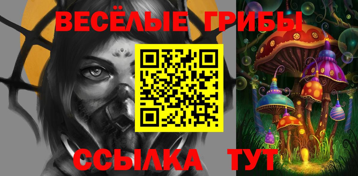 Галлюциногенные грибы MAGIC MUSHROOMS  Вход с VPN  Пятигорск 